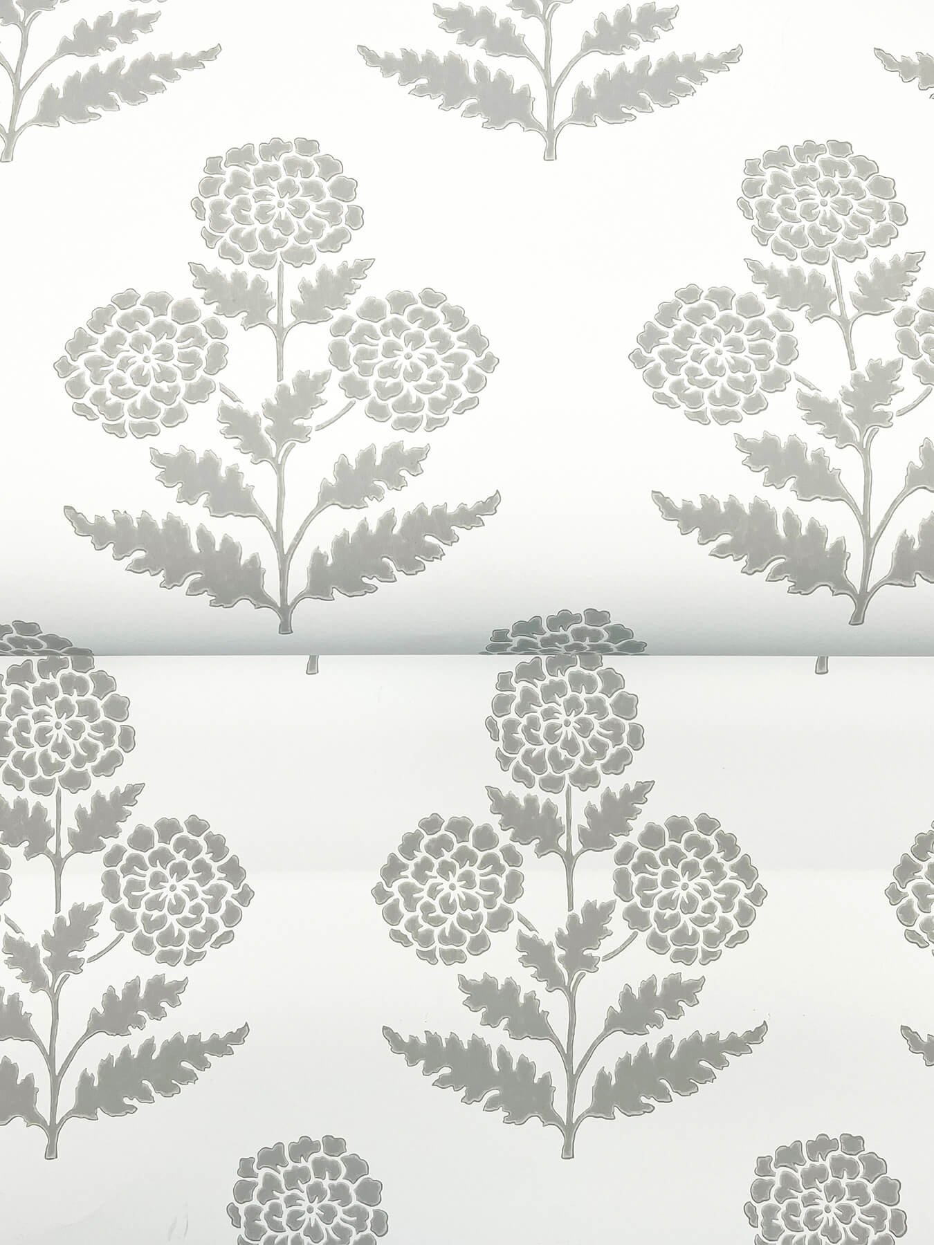 Antonina Vella Jardin Souci Wallpaper - Charcoal