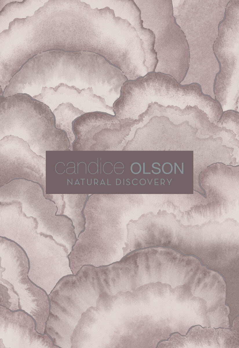 Candice Olson Natural Discovery Layered Lily Pads Wallpaper - Spa