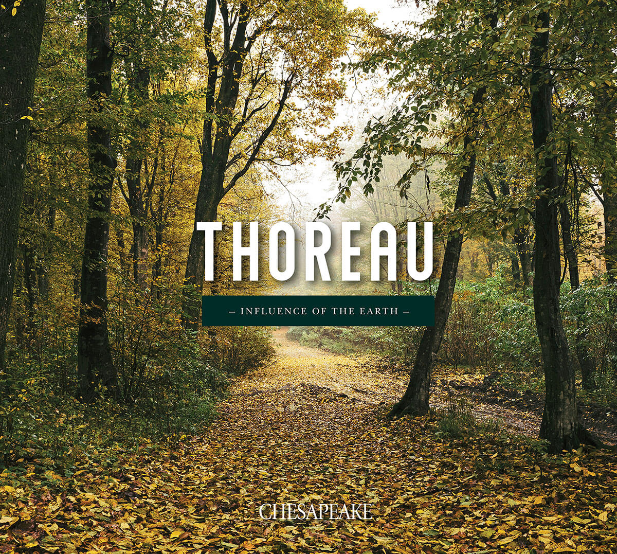 Chesapeake Thoreau Solitude Wallpaper - Teal