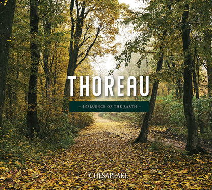 Chesapeake Thoreau Solitude Wallpaper - Honey