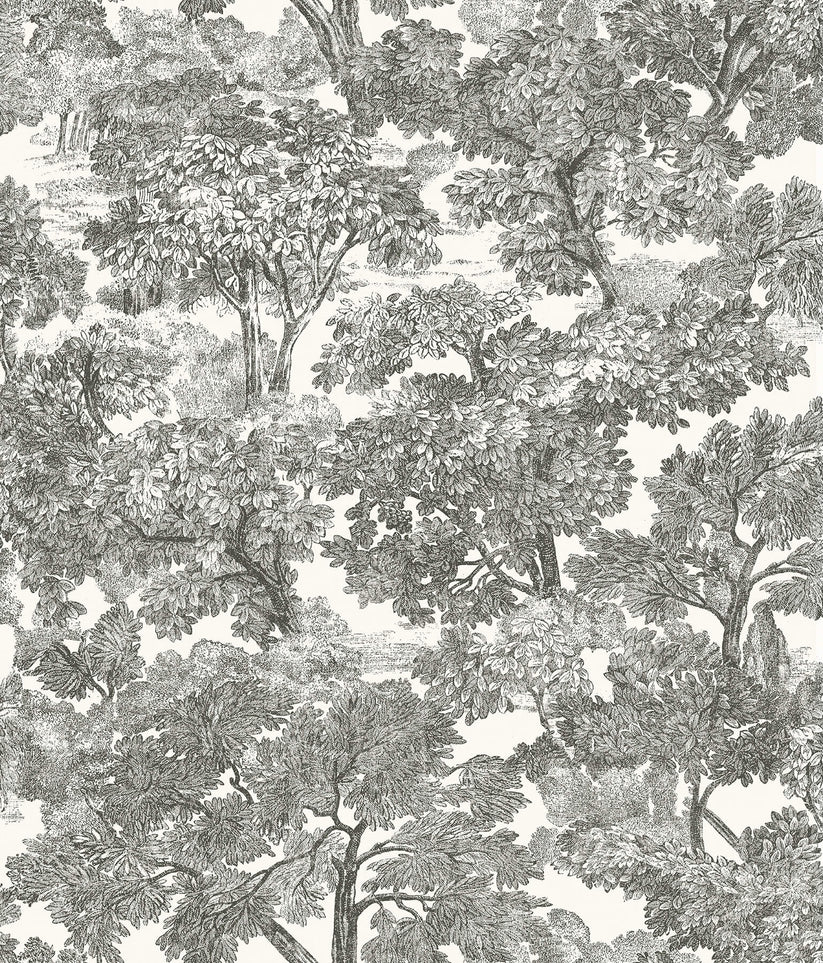 3115-12542 Chesapeake Farmhouse Spinney Toile Wallpaper - Black – US ...