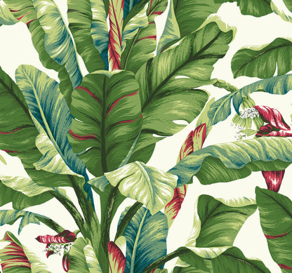 Tropics Resource Library Banana Leaf Wallpaper - SAMPLE