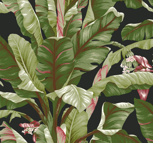 Tropics Resource Library Banana Leaf Wallpaper - Black & Green