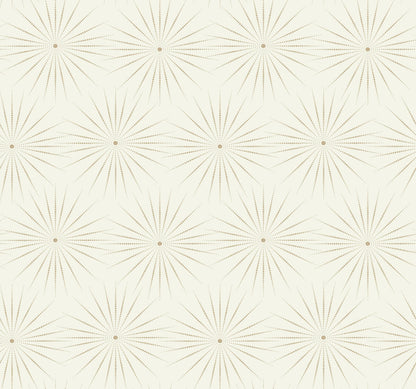 Antonina Vella Bohemian Luxe Starlight Wallpaper - White & Silver