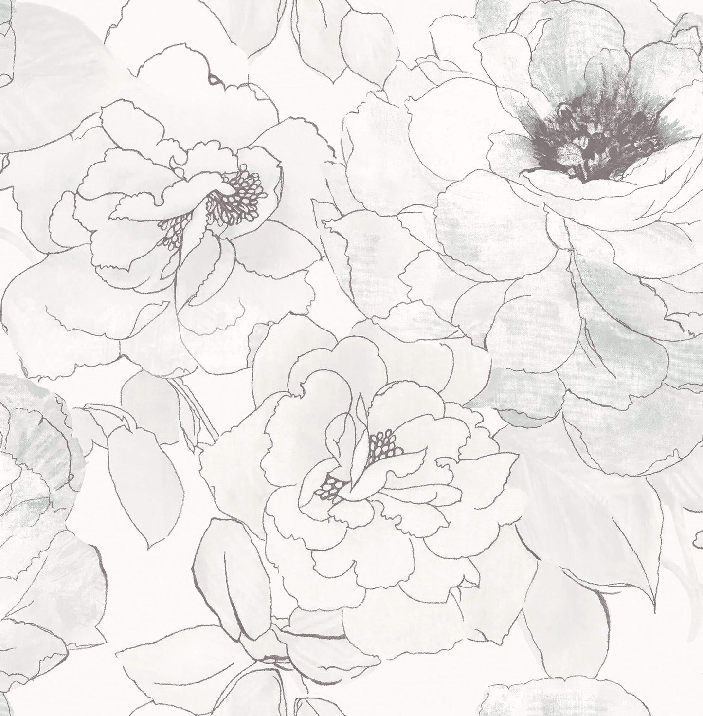 Mayflower Paper Rose Peel & Stick Wallpaper - Black & White