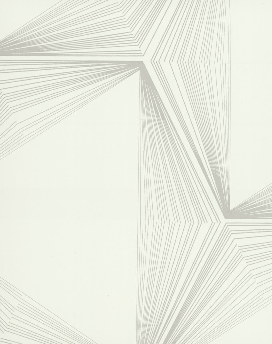 54 inch Candice Olson Terrain Quantum Wallpaper - SAMPLE