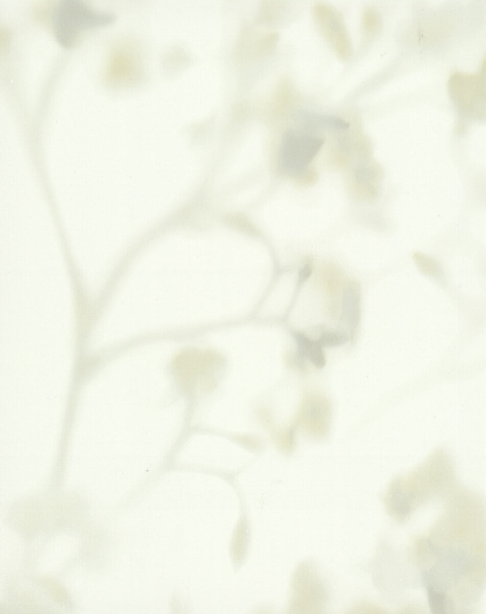54" Candice Olson Terrain Bliss Wallpaper - Off White