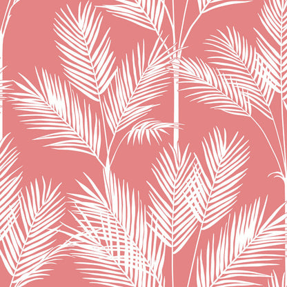 Waters Edge Resource Library King Palm Silhouette Wallpaper - Coral