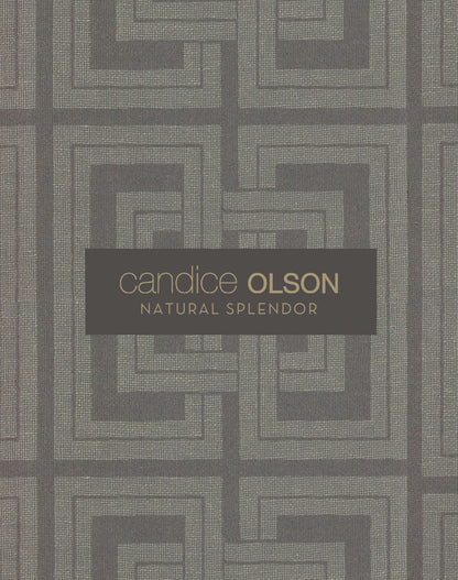 Candice Olson Natural Splendor Cork Wallpaper - Blue