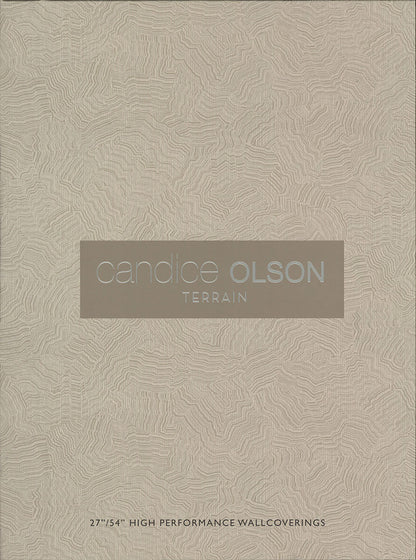 Candice Olson Terrain Pampas Wallpaper - Gray