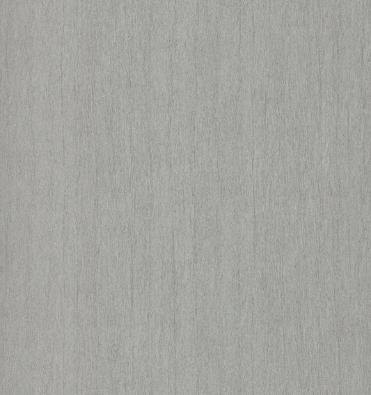 Antonina Vella Dazzling Dimensions Natural Texture Wallpaper - Gray