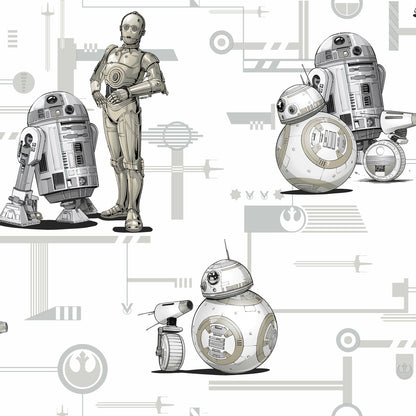 Star Wars: The Rise of Skywalker Droids Wallpaper - Black & White