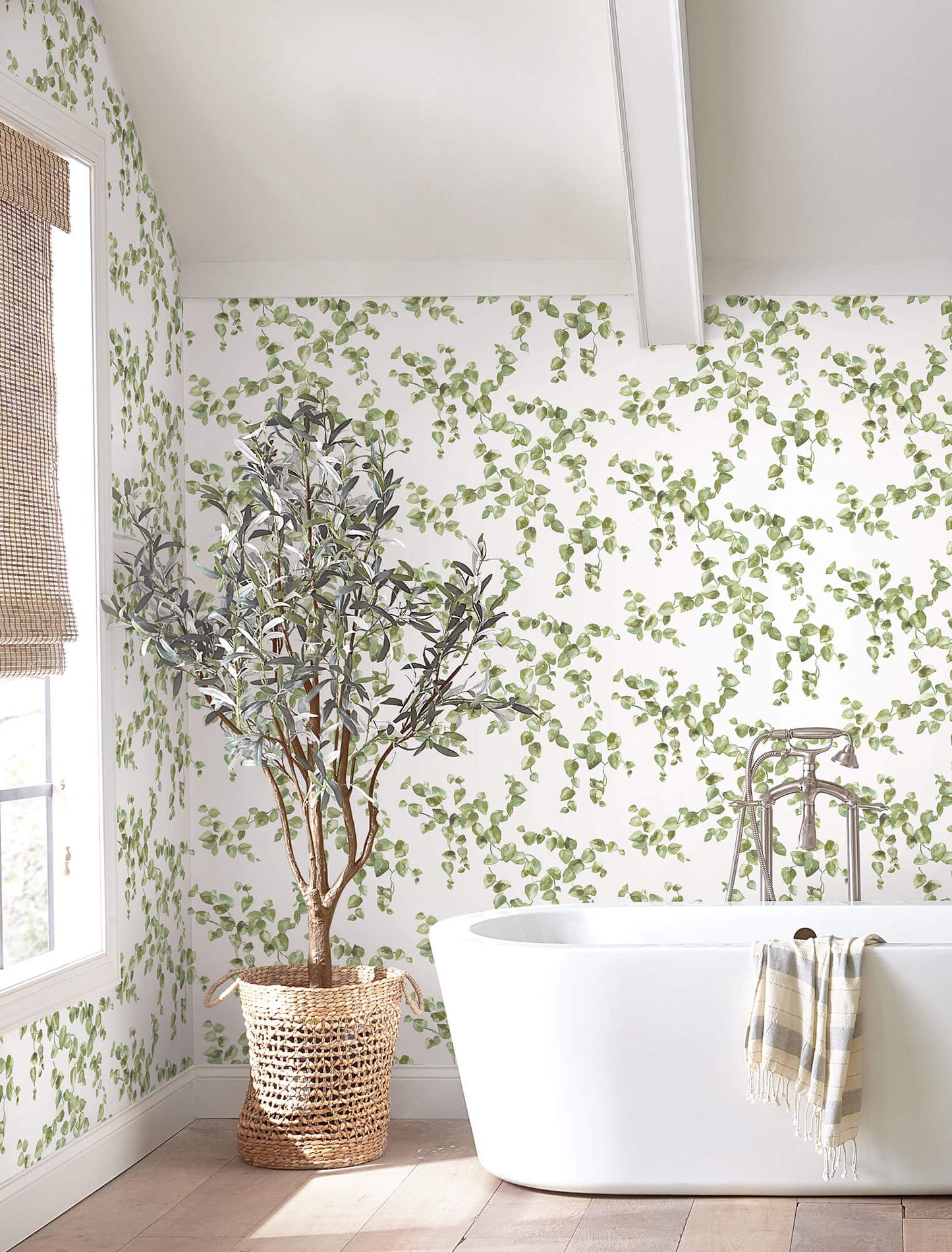 Simply Farmhouse Creeping Fig Vine Wallpaper - Green