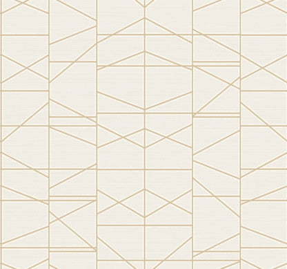 Modern Perspective Geometric Wallpaper - SAMPLE ONLY