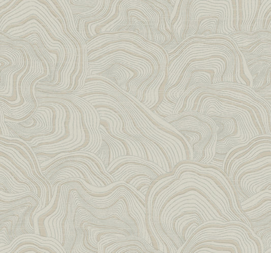Ronald Redding 24 Karat Geodes Wallpaper - Taupe