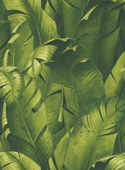 NextWall Tropical Banana Leaves Peel & Stick Wallpaper - Green