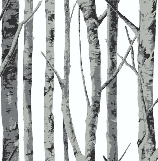 NextWall Birch Trees Peel & Stick Wallpaper - Gray