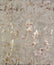 NW3584 Modern Metals Shimmering Foliage Wallpaper - Khaki/Multi – US ...