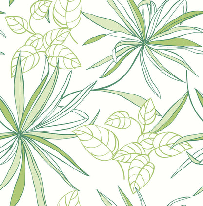 NextWall Spider Plants Peel & Stick Wallpaper - Green