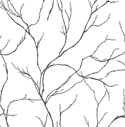 NextWall Delicate Branches Peel & Stick Wallpaper - Black