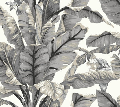 Banana Leaf Peel & Stick Wallpaper - Black & White