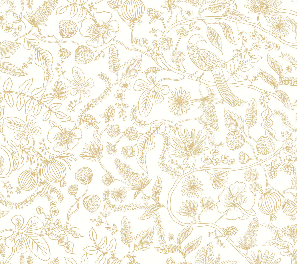 Rifle Paper Co. Aviary Peel & Stick Wallpaper - Off White & Gold