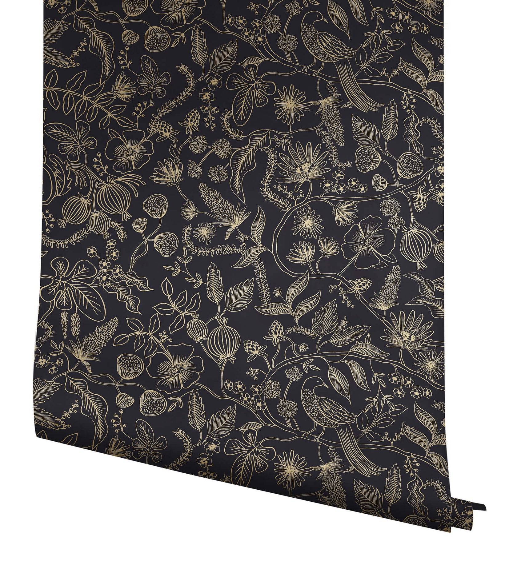 PSW1310RL Rifle Paper Co. Aviary Peel & Stick Wallpaper Black & Gold