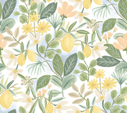 Rifle Paper Co. Amalfi Peel and Stick Wallpaper - SAMPLE