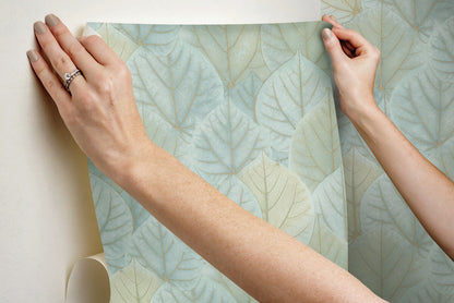 Simply Candice Olson Leaf Concerto Peel & Stick Wallpaper - Turquoise