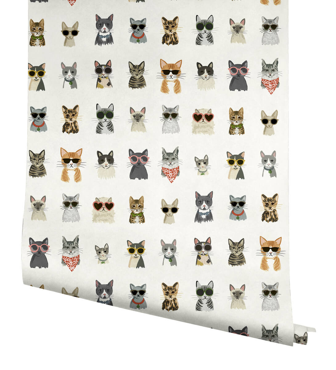 Angry Cat Fabric, Wallpaper and Home Decor