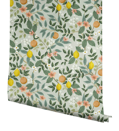 Rifle Paper Co. Citrus Grove Peel & Stick Wallpaper - Mint Green