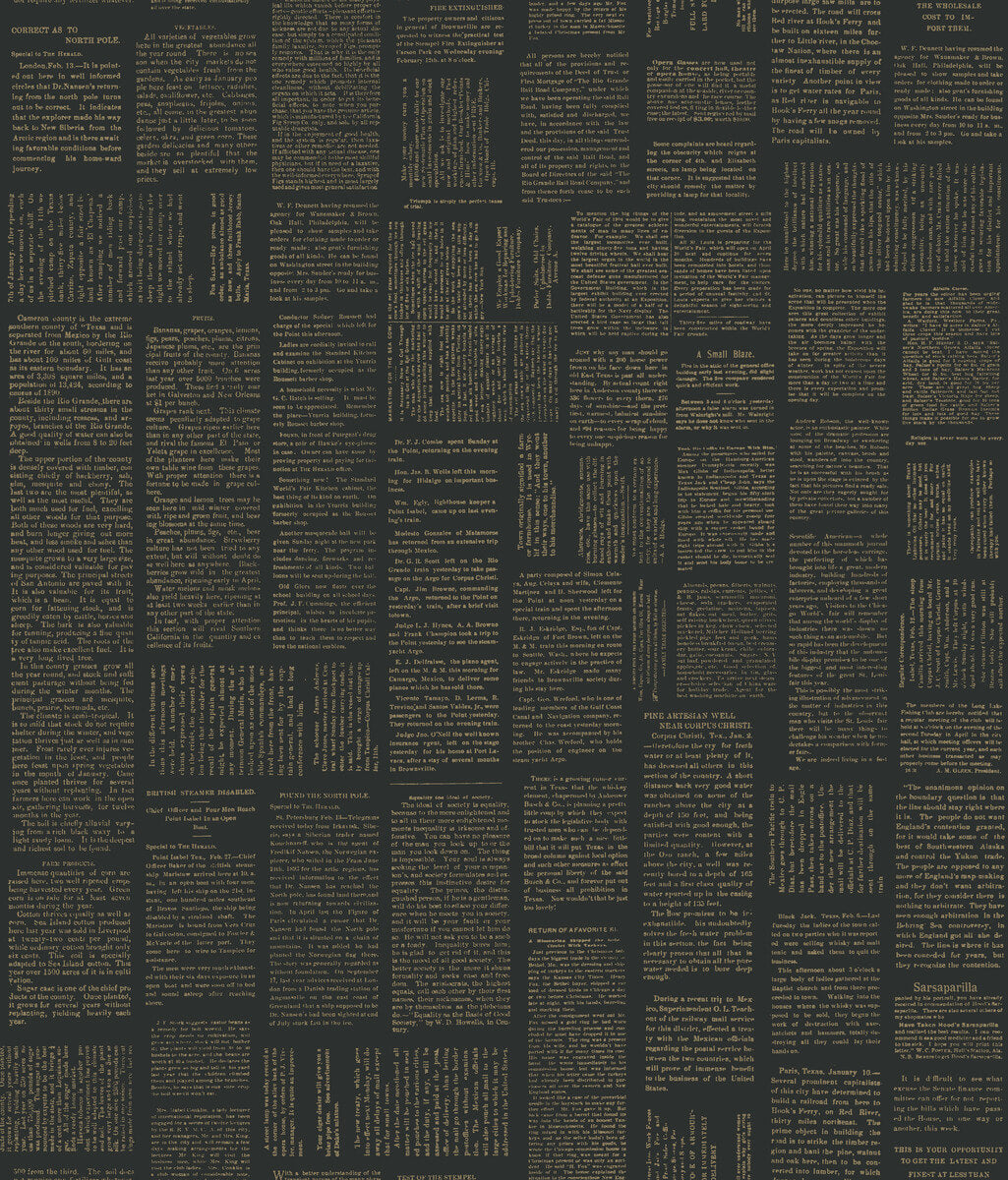 Magnolia Home Crafted Editorial Peel & Stick Wallpaper - Black & Gold