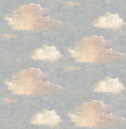 Mayflower Westerly Clouds Peel & Stick Wallpaper - Blue & Pink
