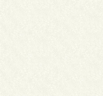 Rifle Paper Co. Champagne Dots Wallpaper - Linen