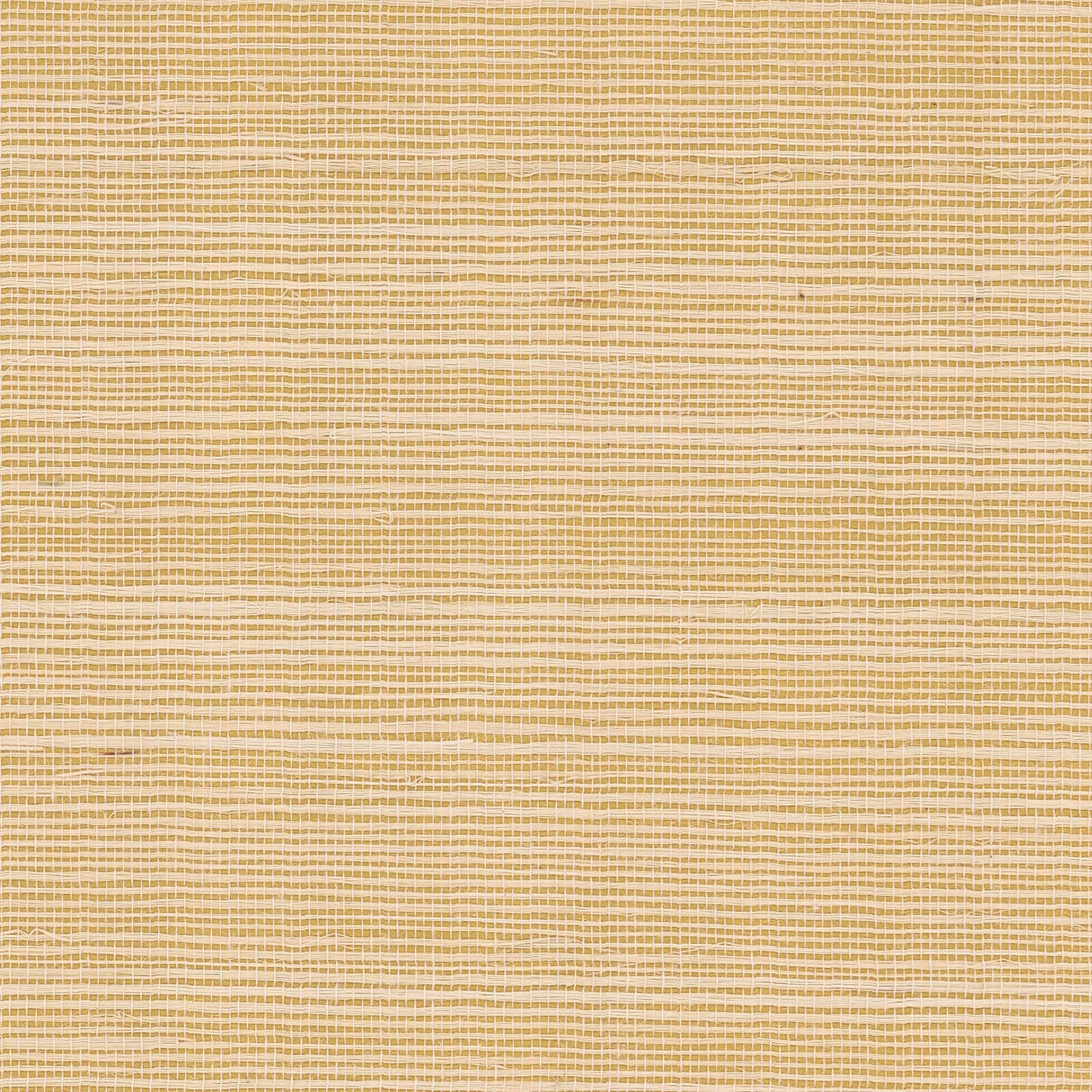 Rifle Paper Co. Palette Grasscloth Wallpaper - Gold