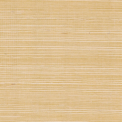 Rifle Paper Co. Palette Grasscloth Wallpaper - Gold