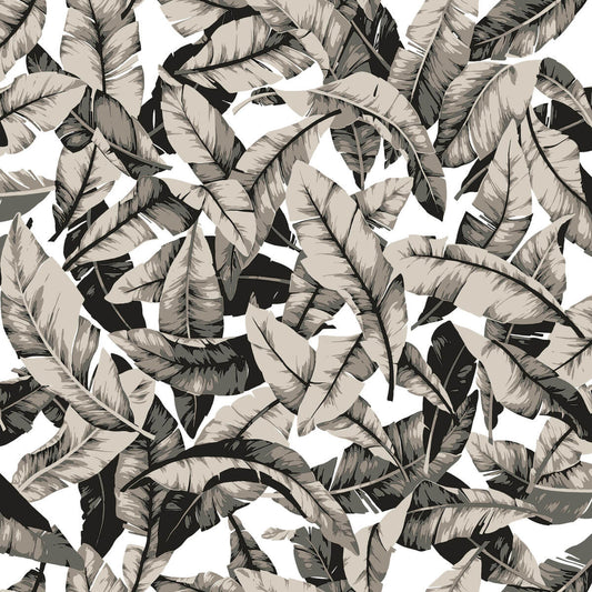 Palm Leaves Peel & Stick Wallpaper - Black & Gray