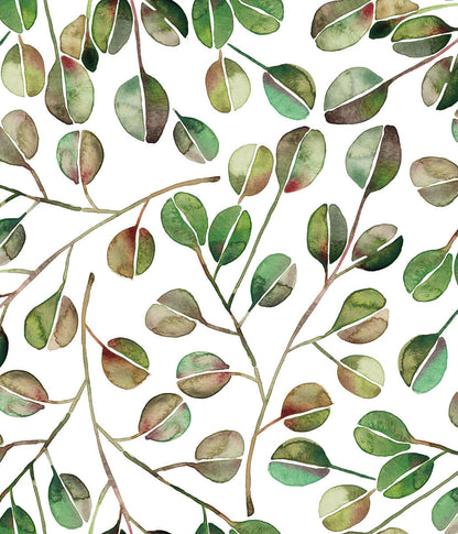CatCoq Eucalyptus Peel and Stick Wallpaper - SAMPLE ONLY