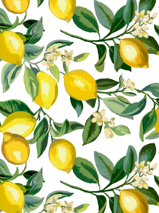 Lemon Zest Peel & Stick Wallpaper - Yellow & White