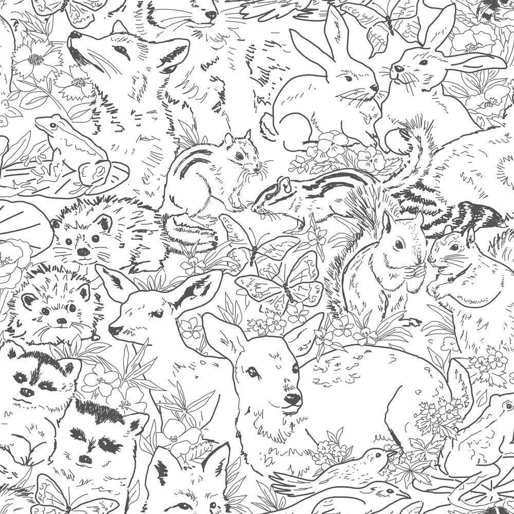 Jungle Woodland Peel & Stick Wallpaper - SAMPLE
