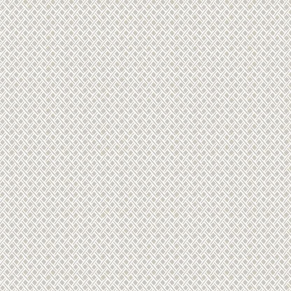 Wicker Weave Wallpaper - SAMPLE ONLY