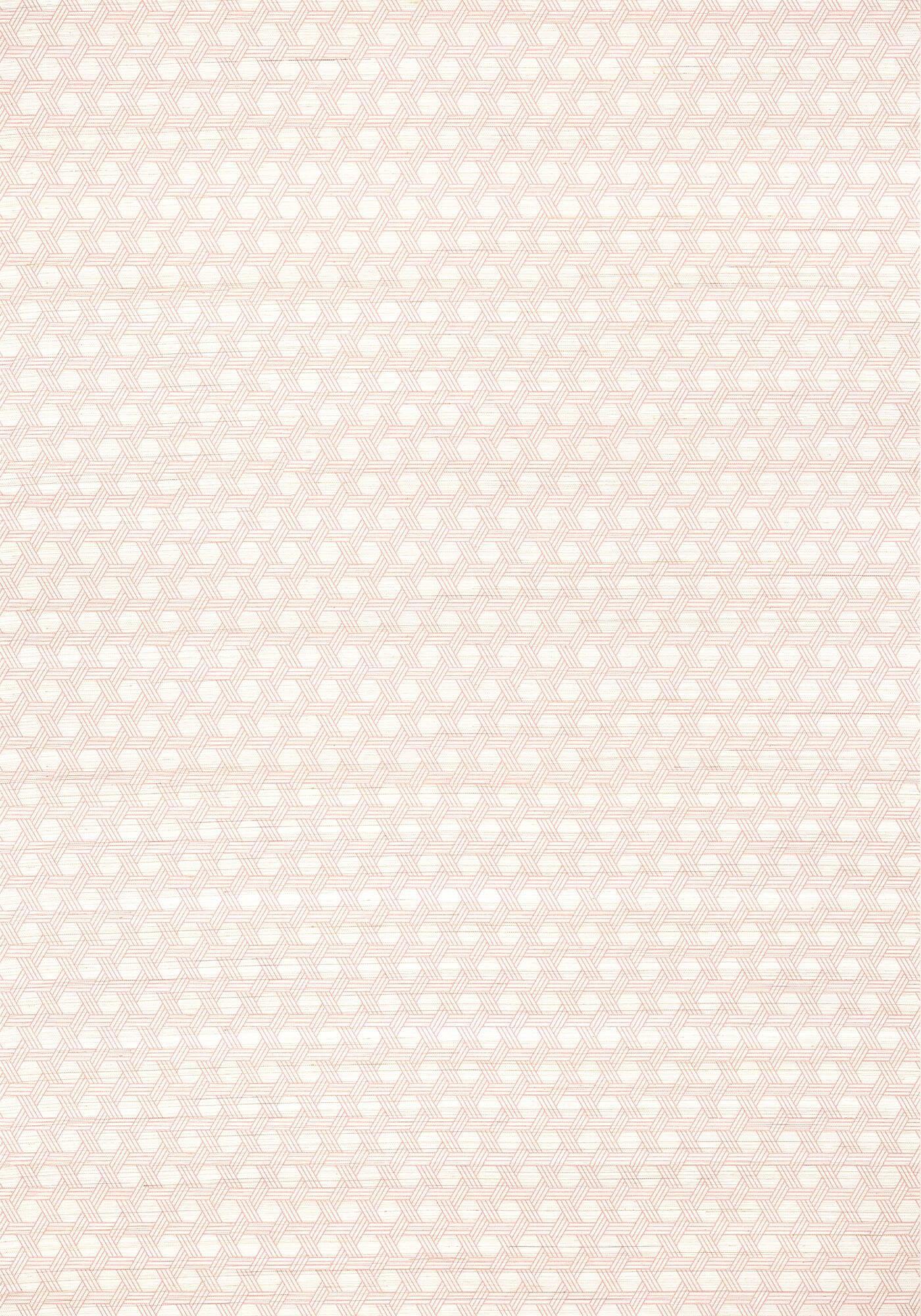 Thibaut Modern Resource 3 Pergola Wallpaper - Blush