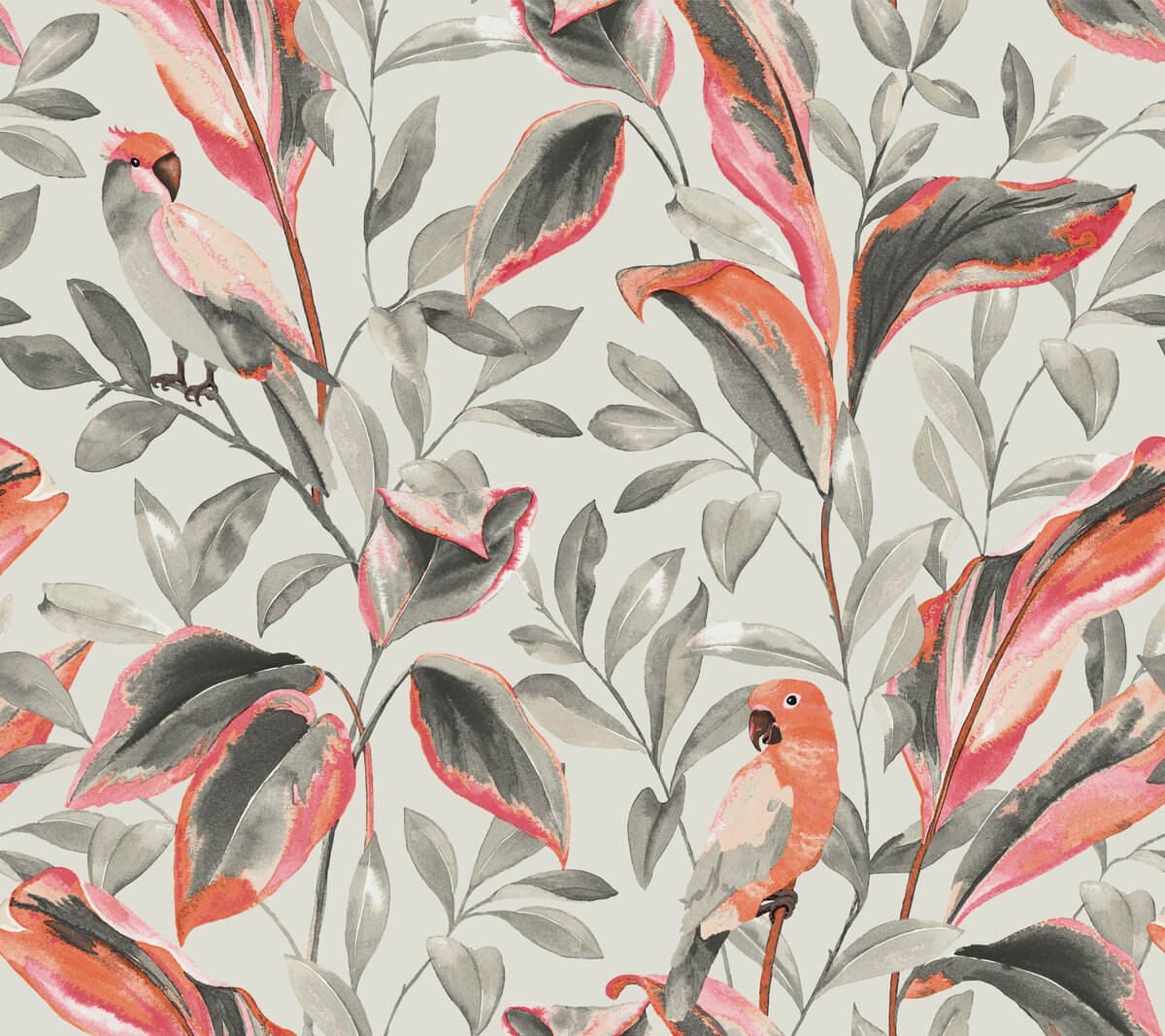 Tropics Resource Library Tropical Love Birds Wallpaper - SAMPLE