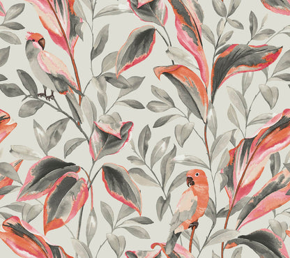 Tropics Resource Library Tropical Love Birds Wallpaper - Gray & Red