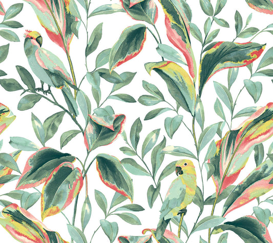 Tropics Resource Library Tropical Love Birds Wallpaper - Green & Coral