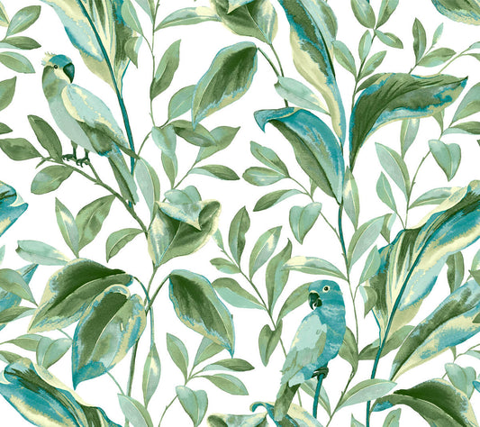 Tropics Resource Library Tropical Love Birds Wallpaper - White & Aqua