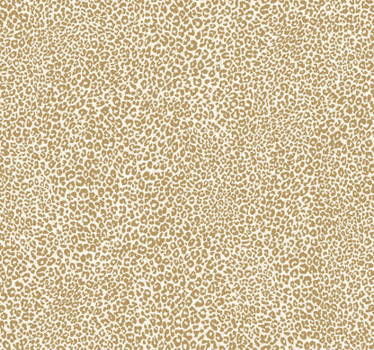 Tropics Resource Library Leopard King Wallpaper - SAMPLE