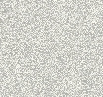 Tropics Resource Library Leopard King Wallpaper - Gray