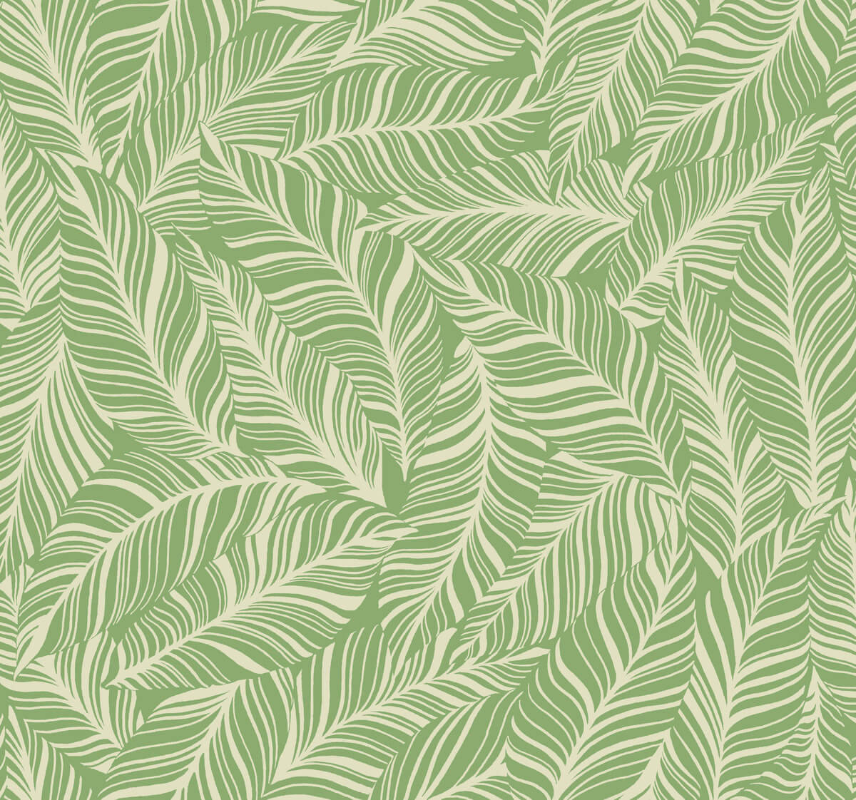 Tropics Resource Library Rainforest Canopy Wallpaper - SAMPLE
