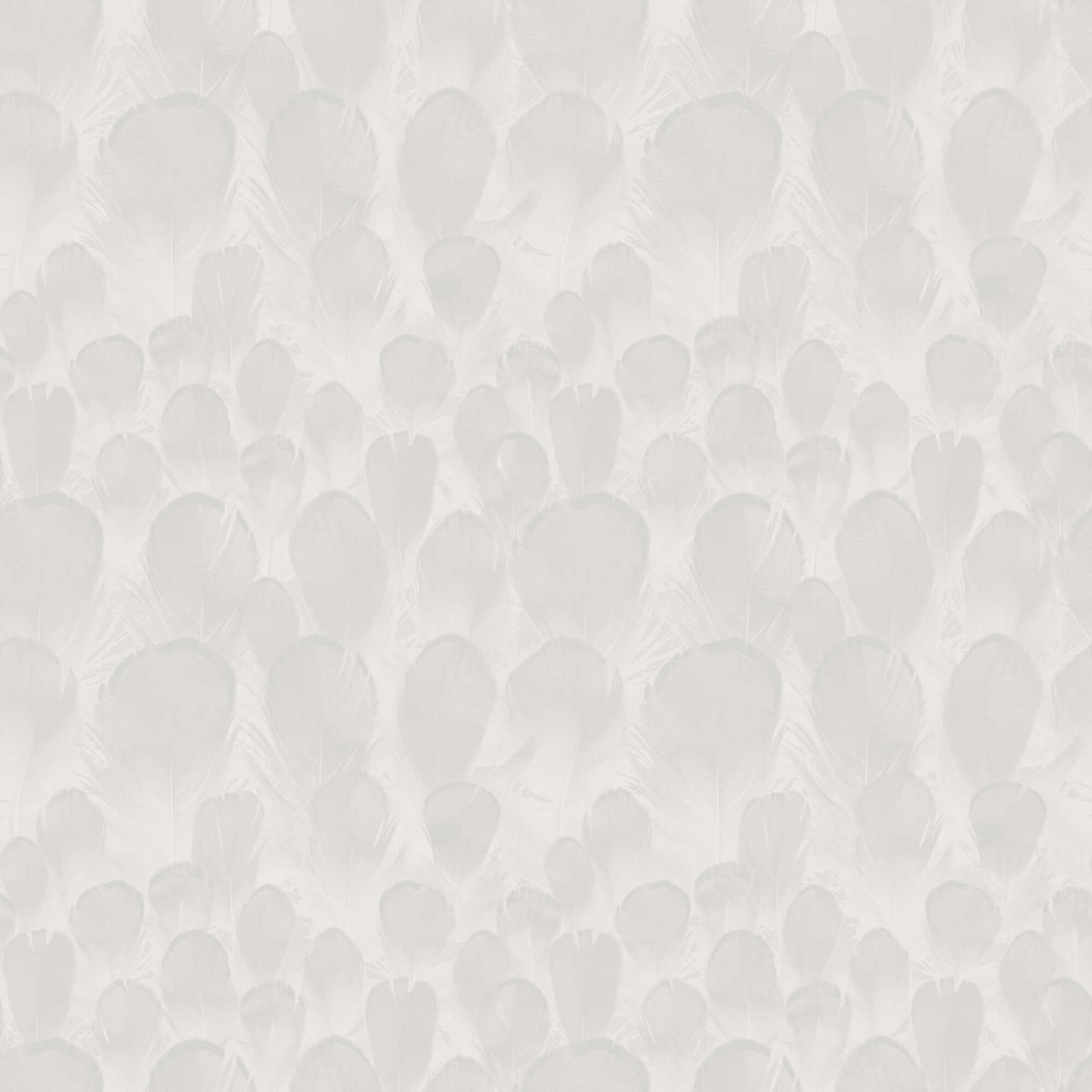 Y6230101 Feathers Wallpaper by Antonina Vella White